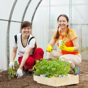 Revitalize Downtown: Build a Community Garden