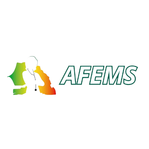 afems.sn